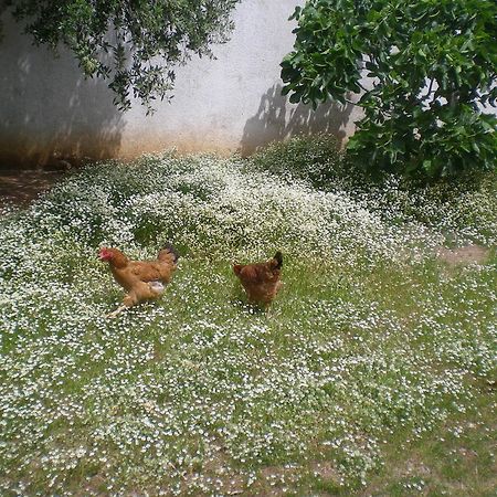 ホテルIl Giardino Castro  エクステリア 写真