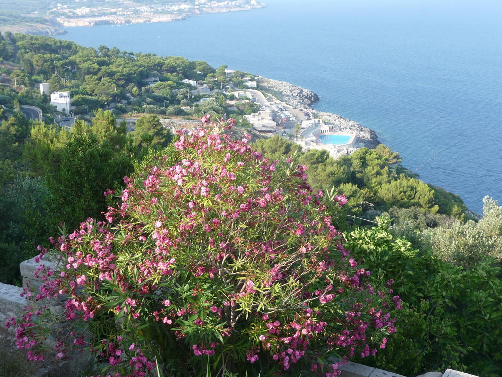 ホテルIl Giardino Castro  エクステリア 写真